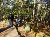 2016-10-09 Les gorges d Apremont 0074